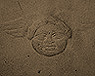 Cast No. C076