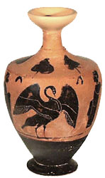 Photo of Shoulder shape