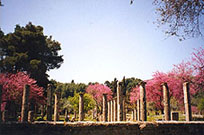 View of Olympia. Photo. Florence Maskell.